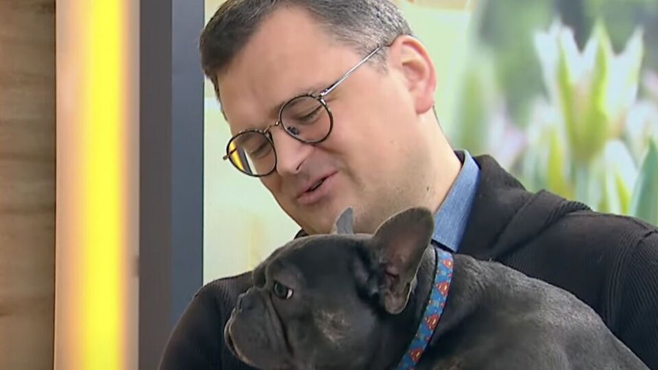 Кулеба: Марик прекрасно подружился с двумя другими моими собаками