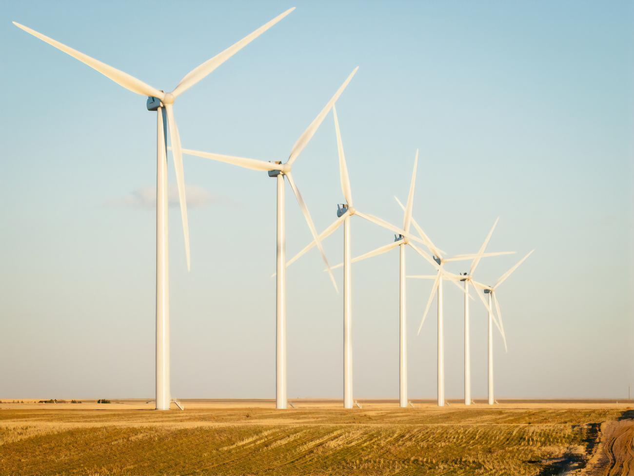 У ДТЕК закликали міжнародні компанії приєднатися до коаліції охочих відновлювати екологічне майбутнє України