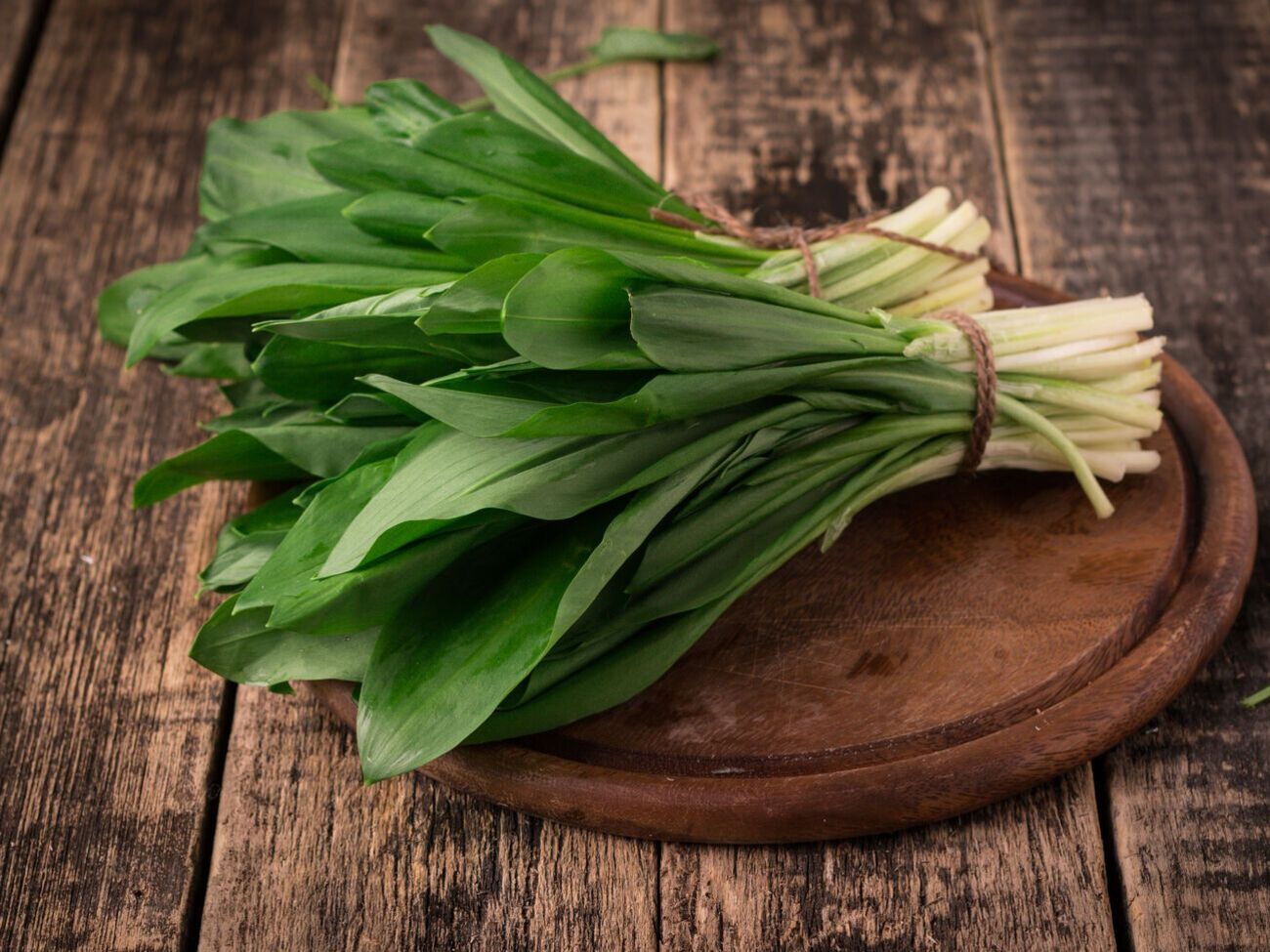 Черемша занесена в Красную книгу