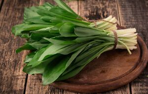 Черемша занесена в Красную книгу