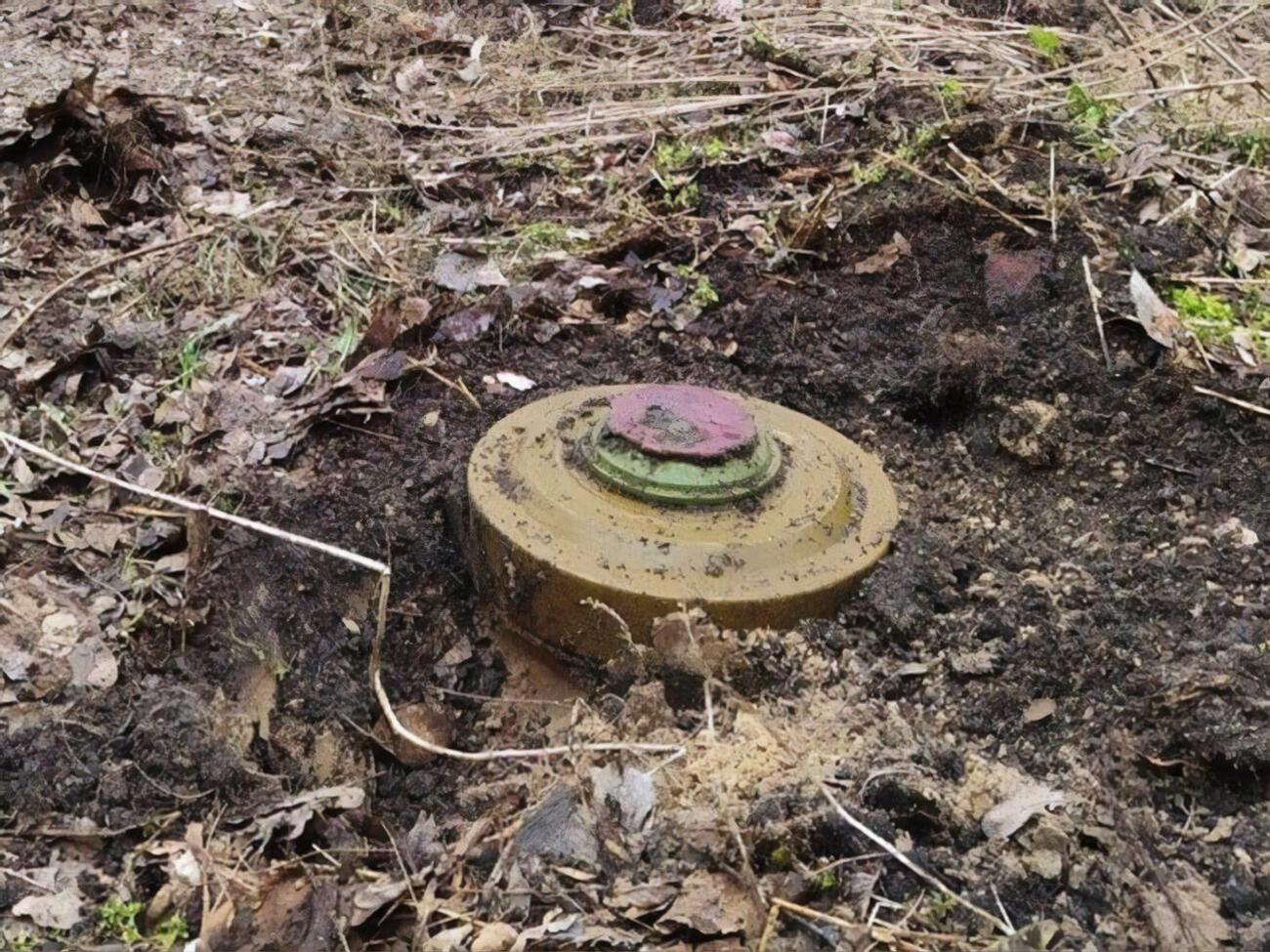 Унаслідок російської агресії приблизно 30% території України забруднено мінами й боєприпасами, Херсонська область &ndash; одна з найбільш постраждалих