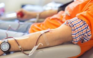 Окупанти у Севастополі забрали кров із центрів переливання для клінічного військового госпіталю