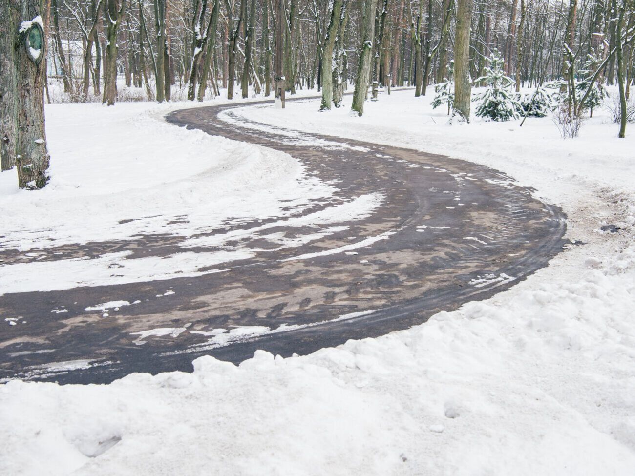 В лесах на освобожденных от оккупантов территориях сейчас опасно, напоминают в ГСЧС