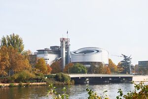 По словам Юсова, Украина обратилась в ЕСПЧ в рамках работы по освобождению военнопленных