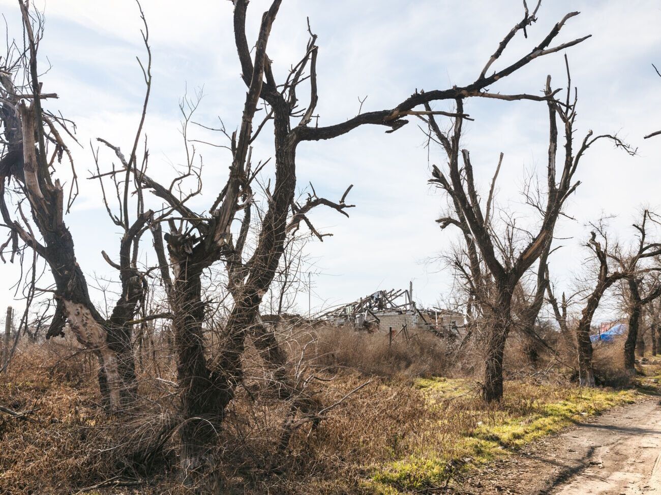 На узбіччях і в лісах Херсонської області залишилися російські міни