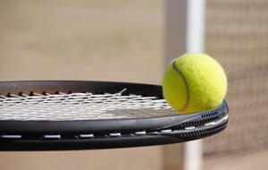 Обращение к НОК и Минспорта подписали ведущие теннисисты