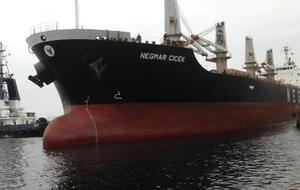 У межах ініціативи Grain from Ukraine найуразливіші країни Африки – Сомалі, Ефіопія, Кенія – отримали вже 140 тис. тонн пшениці, повідомило Мінінфраструктури