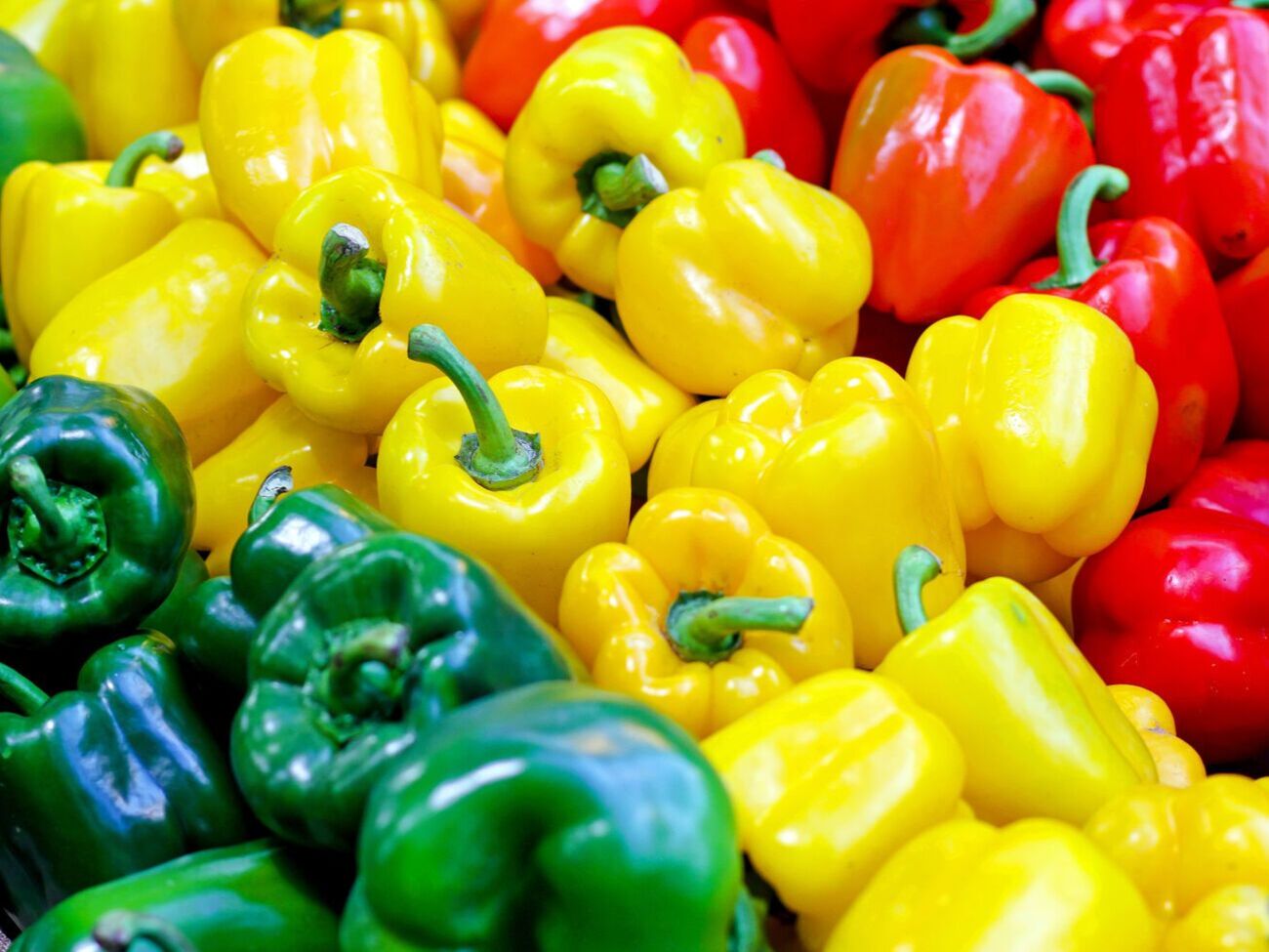 Фермер рекомендует купить для посева сорта "Белое золото"; "Калифорнийское чудо", "Богдан" и "Горький украинский"