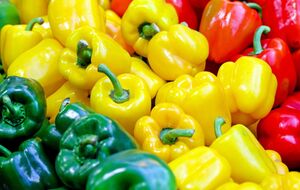 Фермер рекомендует купить для посева сорта "Белое золото"; "Калифорнийское чудо", "Богдан" и "Горький украинский"