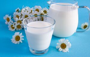 Свежее молоко при добавлении соды не будет пениться