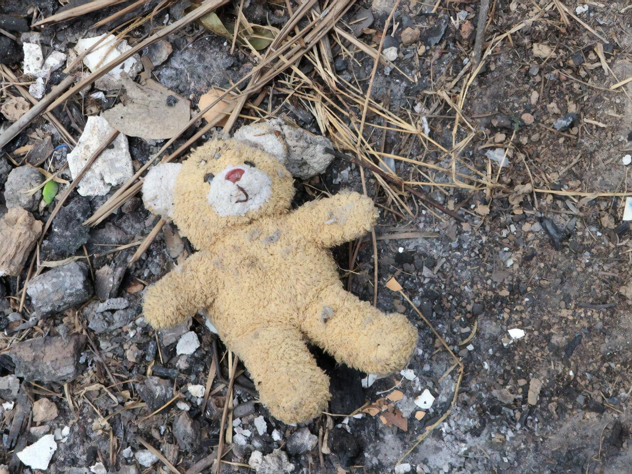 Детей из Донецкой области эвакуируют