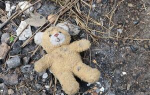 Детей из Донецкой области эвакуируют