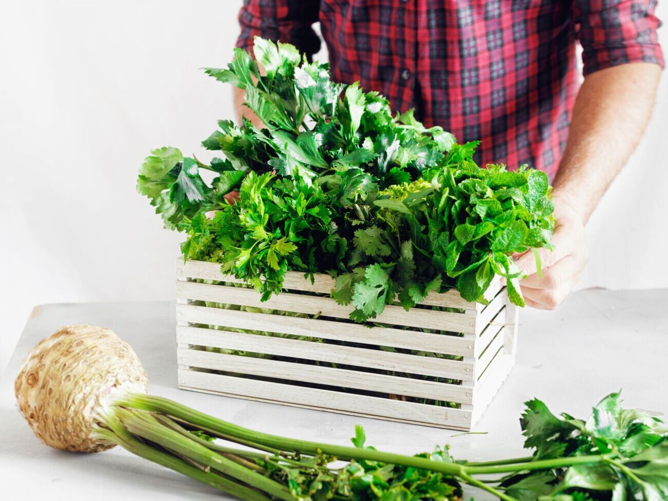 Высевать семена сельдерея необходимо за 70 дней до его высадки в открытый грунт