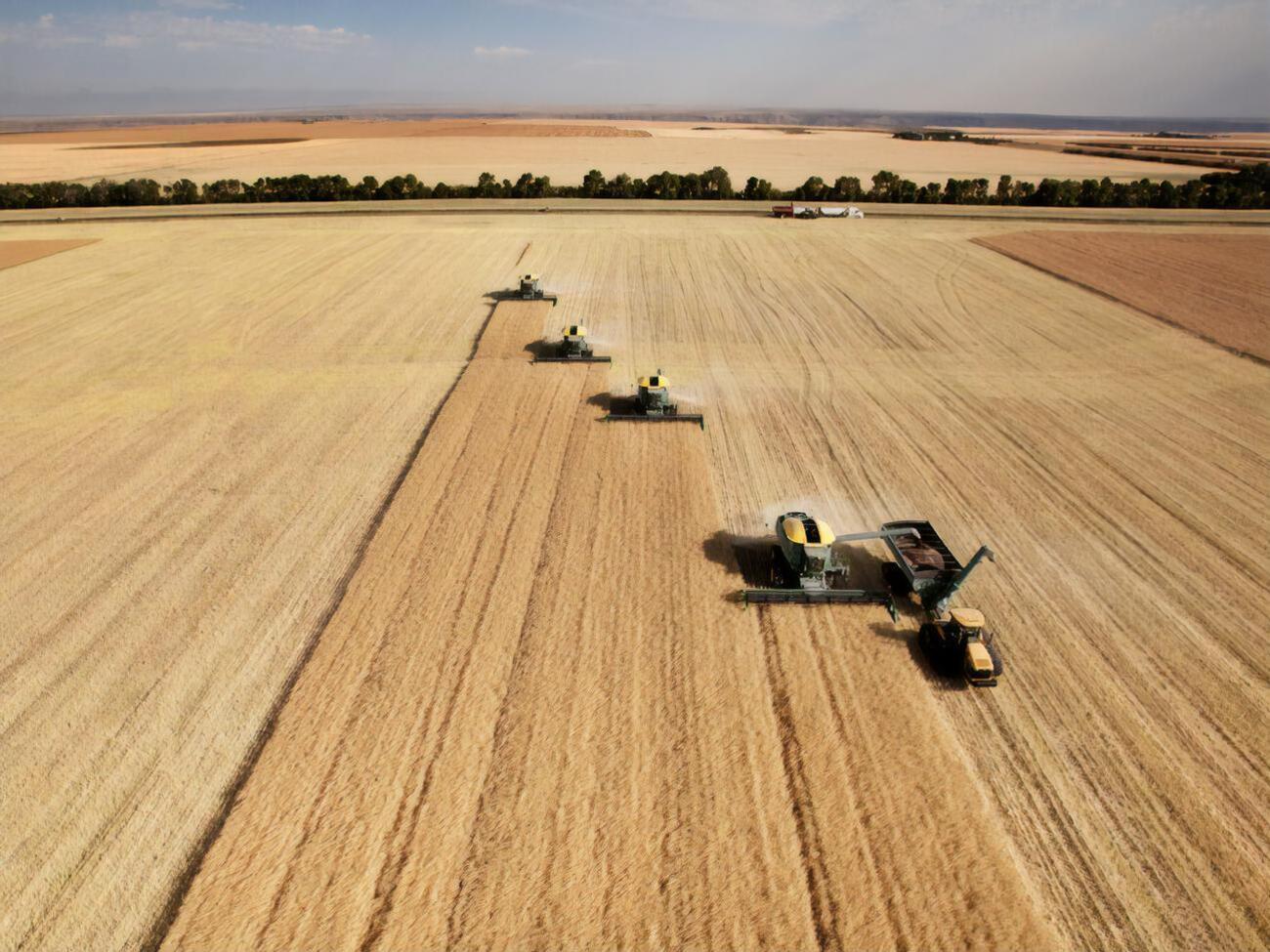 В Минагропроде прогнозируют, что в 2023 году урожай снизится по сравнению с 2022 годом