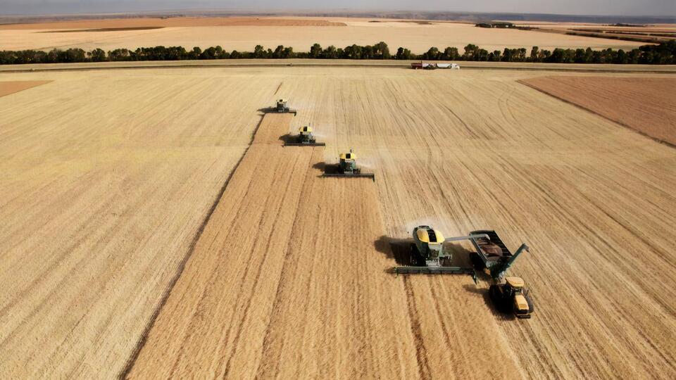 У Мінагропроді прогнозують, що у 2023 році врожай знизиться порівняно з 2022 роком