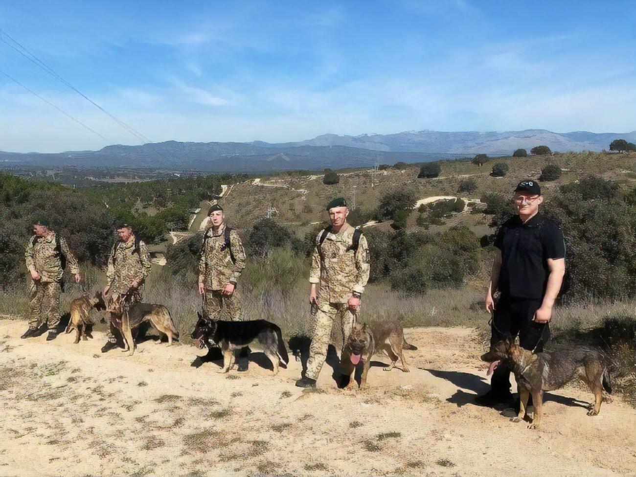 Курс посвящен методологии обучения служебных собак поиску оружия, боеприпасов и взрывчатых веществ