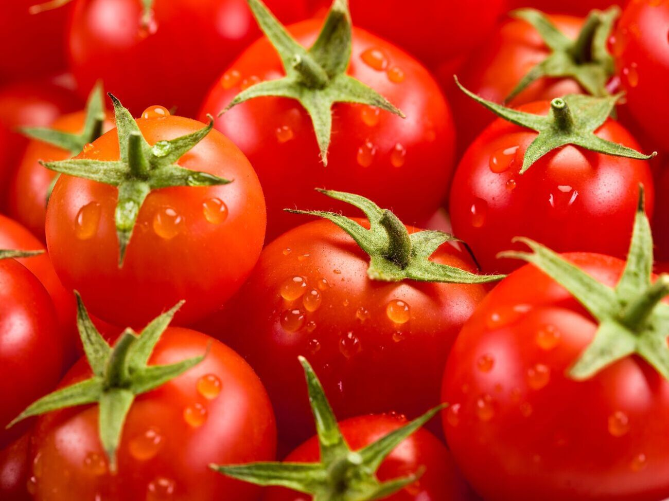 В Англии появилась возможность&nbsp;коммерческого производства продуктов питания, подвергшихся генной инженерии