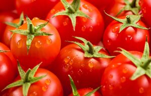 В Англии появилась возможность коммерческого производства продуктов питания, подвергшихся генной инженерии