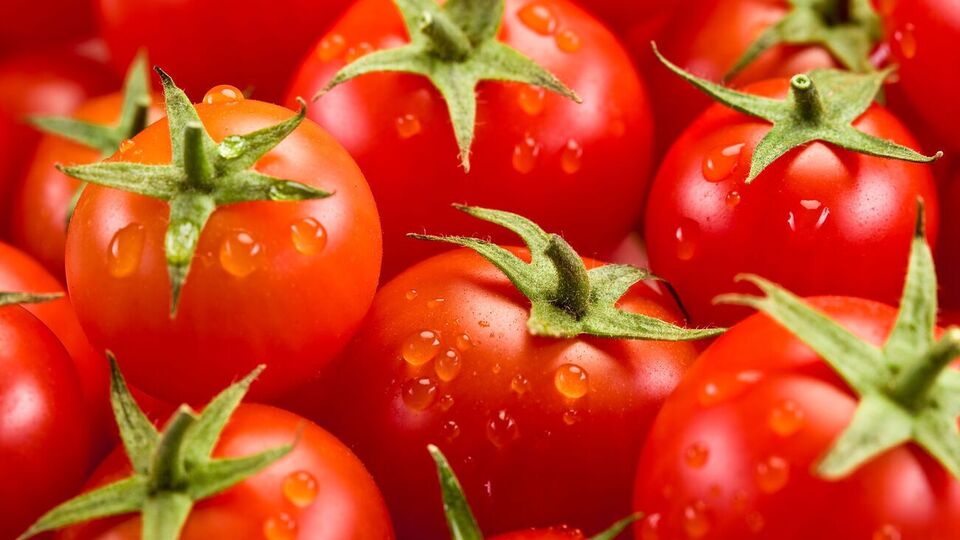 В Англии появилась возможность коммерческого производства продуктов питания, подвергшихся генной инженерии