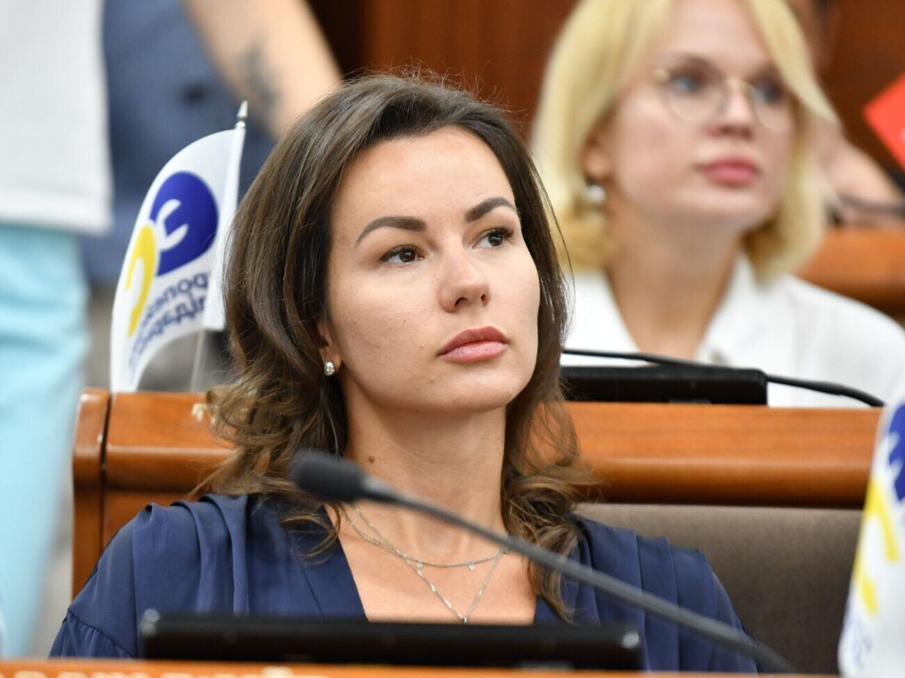 Никорак зараз є депутаткою Київради