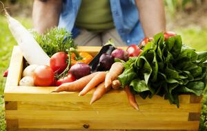 От качества апрельских работ в огороде будет зависеть урожай