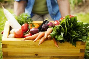 От качества апрельских работ в огороде будет зависеть урожай