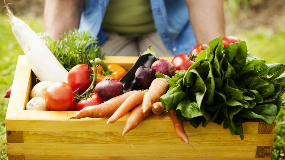 От качества апрельских работ в огороде будет зависеть урожай