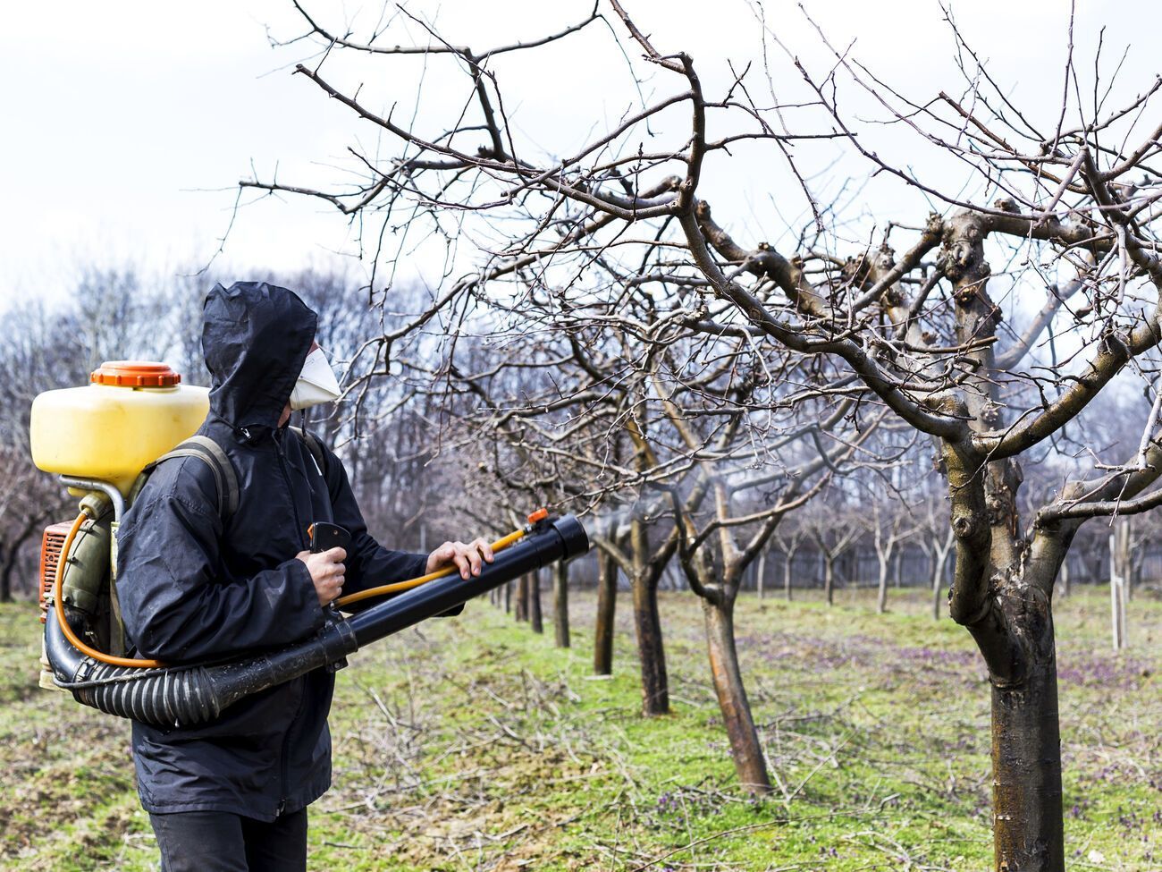 Во время обработки сада лицо рекомендуется защитить респиратором