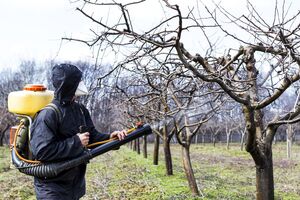 Во время обработки сада лицо рекомендуется защитить респиратором