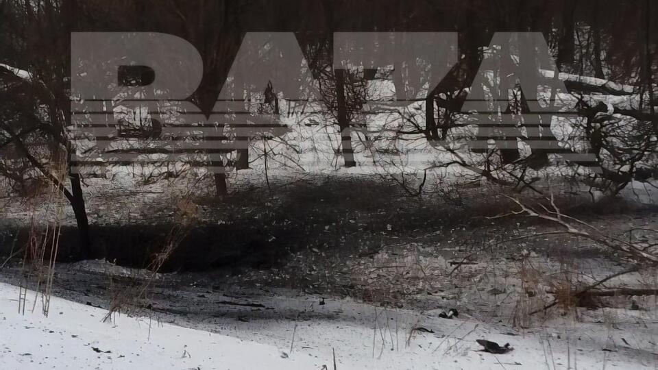 В лесу у поселка обнаружили воронку глубиной в полметра
