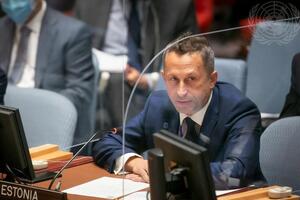 Представитель Эстонии высказался о будущем председательстве РФ в Совбезе ООН