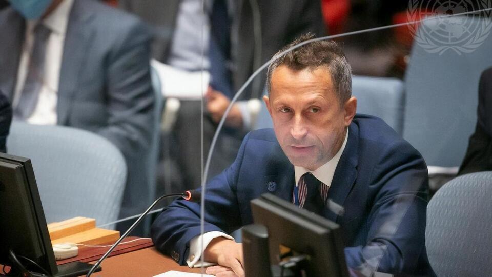 Представник Естонії висловився про майбутнє головування РФ у Радбезі ООН