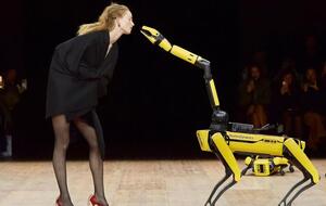 Робопес Boston Dynamics и Рианна Ван Ромпей на подиуме обнюхали друг друга