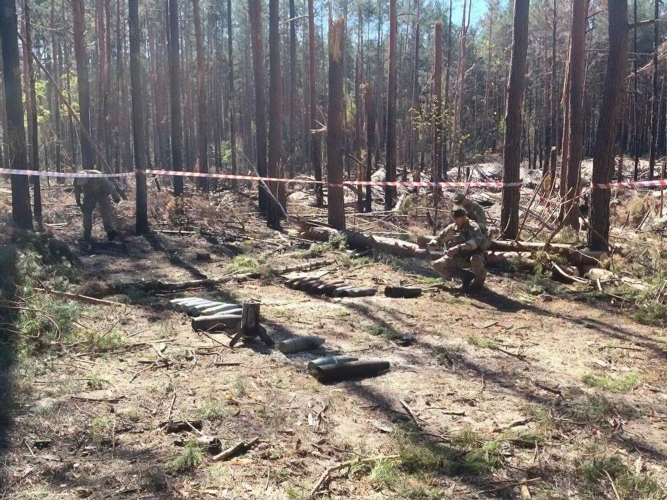 Через війну пошкоджено майже 3 млн га лісу в Україні, зазначили у Мінекології
