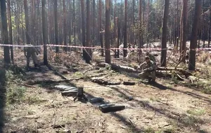 Из-за войны повреждено почти 3 млн га леса в Украине, отметили в Минэкологии