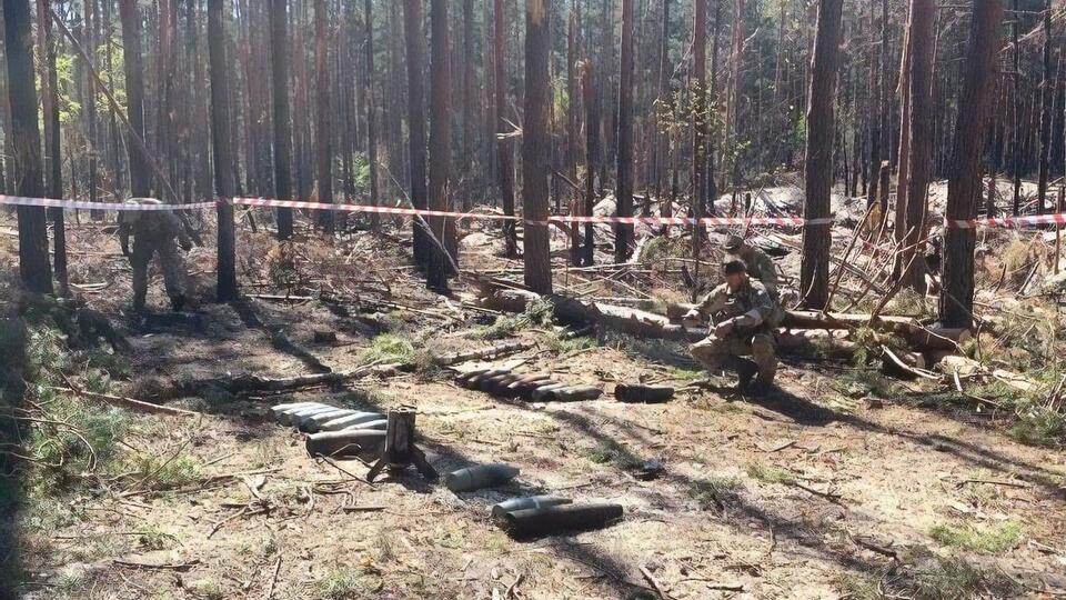 Из-за войны повреждено почти 3 млн га леса в Украине, отметили в Минэкологии