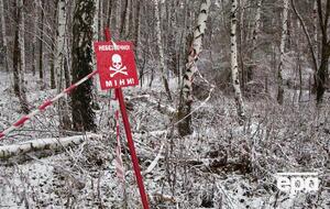 Розв'язана Росією війна призвела до створення в Україні найбільшого у світі мінного поля, заявили в уряді 8 січня