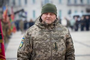 Залужный несколько недель назад рекомендовал подумать об отводе войск из Бахмута, утверждает Bild