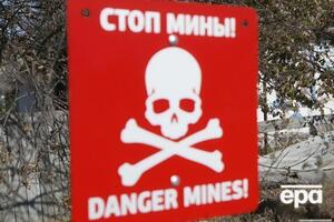 Розмінування території України може забрати 70 років, наголошували в уряді