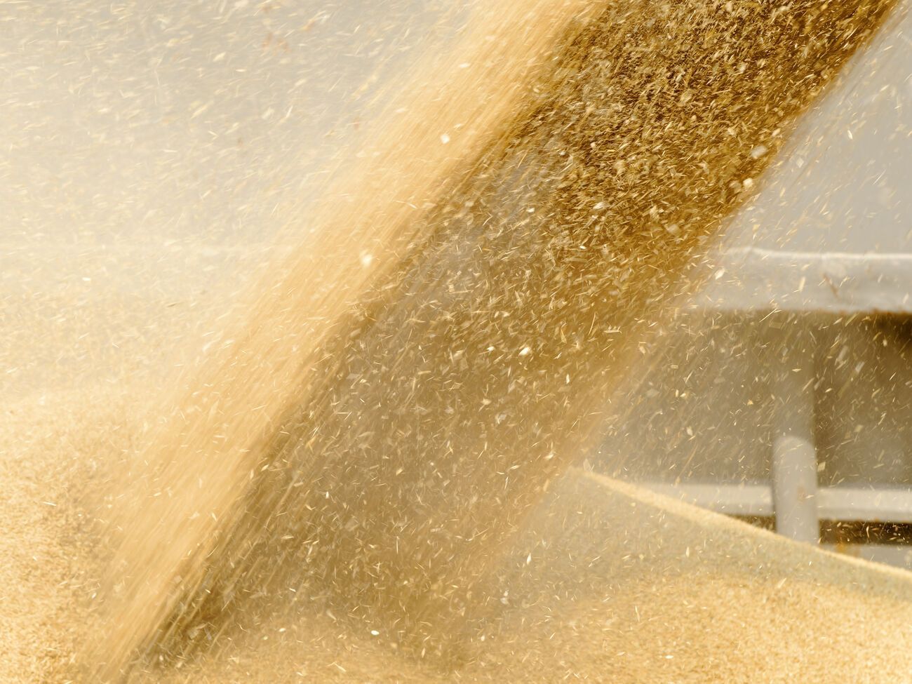 Загарбники забирають зерно в українських аграріїв, повідомляє Генштаб