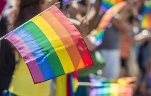 В Украине может появиться гражданское партнерство для однополых пар