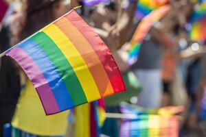 В Украине может появиться гражданское партнерство для однополых пар