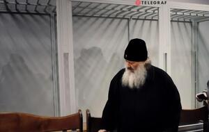 Лебедь имеет статус подозреваемого