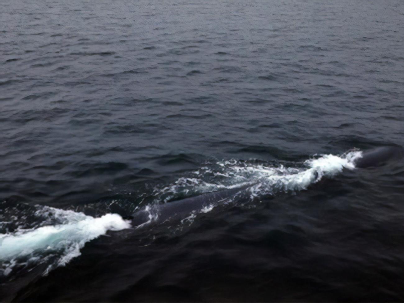 Северная Корея сообщила об испытании нового беспилотника