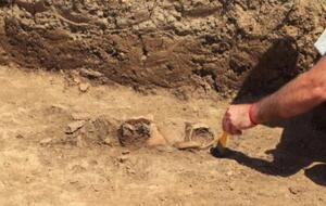 Следы наркотиков нашли в волосах, обнаруженных во время раскопок в пещере в Испании