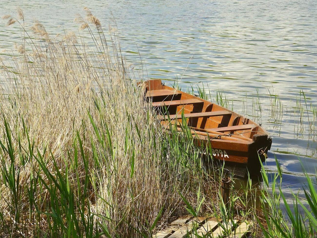 Постраждалих госпіталізували