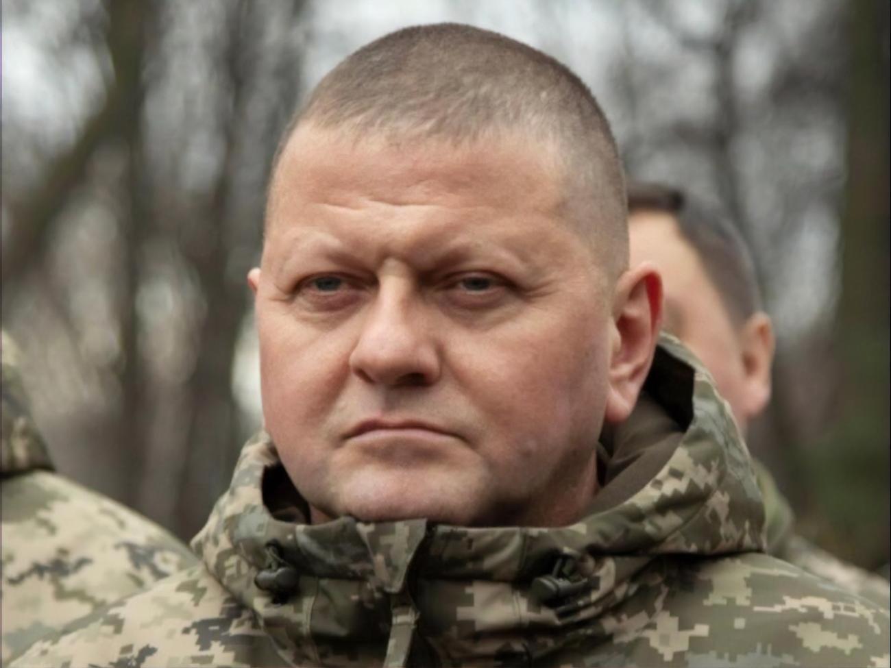 Залужный успешно защищает Украину от врага и заслужил авторитет во всем мире, отмечает эксперт