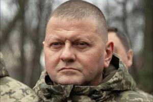 Залужный успешно защищает Украину от врага и заслужил авторитет во всем мире, отмечает эксперт