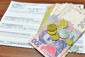 В НКРЭКУ заявляют, что работают над минимизацией времени, которое украинцы тратят, чтобы оформить субсидии