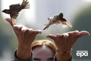 Зараження людини пташиним грипом уперше зареєстрували 1997 року